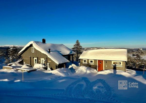 Cozy cabin with incredible views and sauna